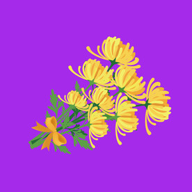 小雏菊菊花