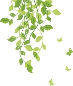 蝴蝶绿花纹