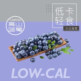 蓝莓海报