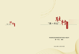 驻村报告封面