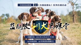 搜救犬培训课堂