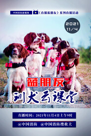 搜救犬海报
