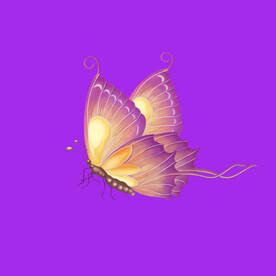 手绘蝴蝶昆虫 