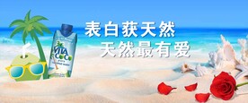 海滩 玫瑰  椰子树 