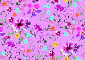 鸡蛋花
