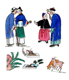 家谱素材