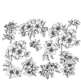手绘花卉