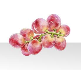 菩提