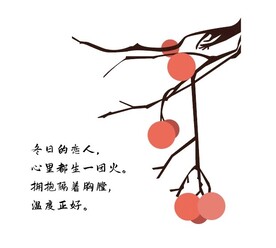 柿子树插画
