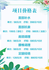 项目价格表