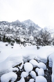 野外雪景