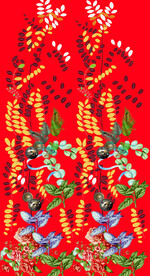 牡丹