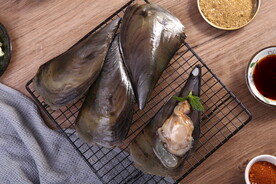 鲜活带子 