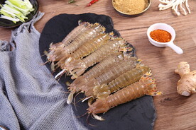 濑尿虾