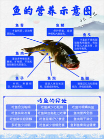 鱼的营养