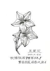 五星花