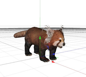 C4D模型 小浣熊