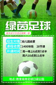 绿荫足球