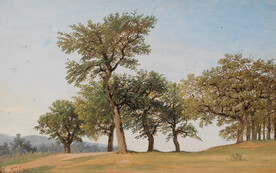 大树树林油画风景画