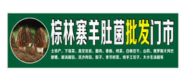 羊肚菌