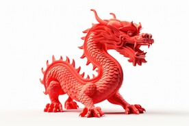 立体龙