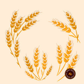 金色麦穗矢量素材