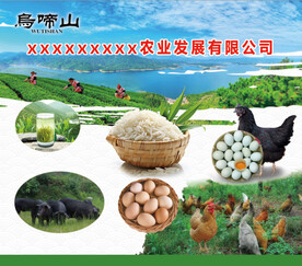 农业公司产品展示  