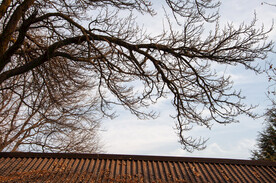 镇原县风景摄影