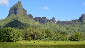 大山风景