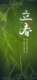立春绿叶知春