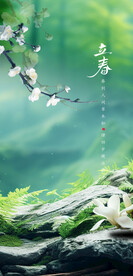 立春一缕芬芳枝头现