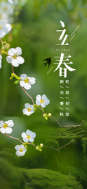 立春芳香春将现