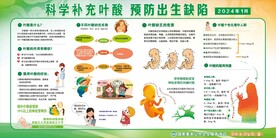 科学补充叶酸 预防出生缺陷
