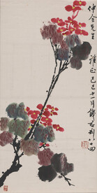 海棠花开