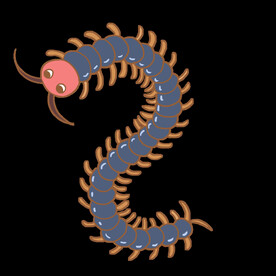 蜈蚣免抠元素
