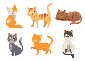 卡通猫