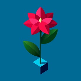 杜鹃花