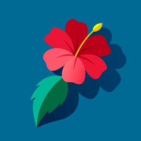 芙蓉花