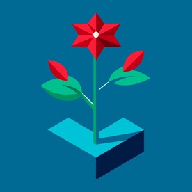 杜鹃花