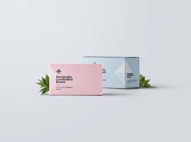 纸箱样机