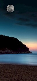 海岸