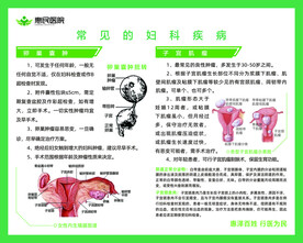 妇科宣传板