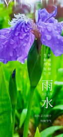 雨水节气