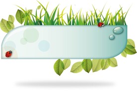 矢量甲壳虫植物边框