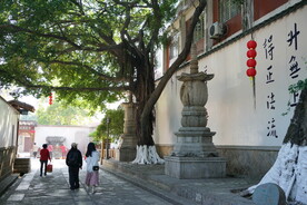 泉州承天禅寺景色