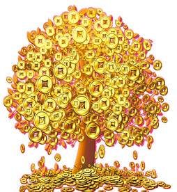 金钱树