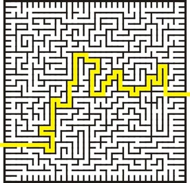 迷宫带路线