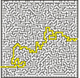 迷宫带正确路线