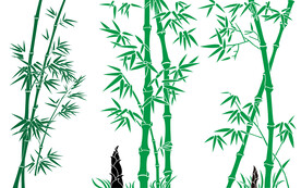 竹背景墙