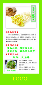 芽苗菜  豆芽  